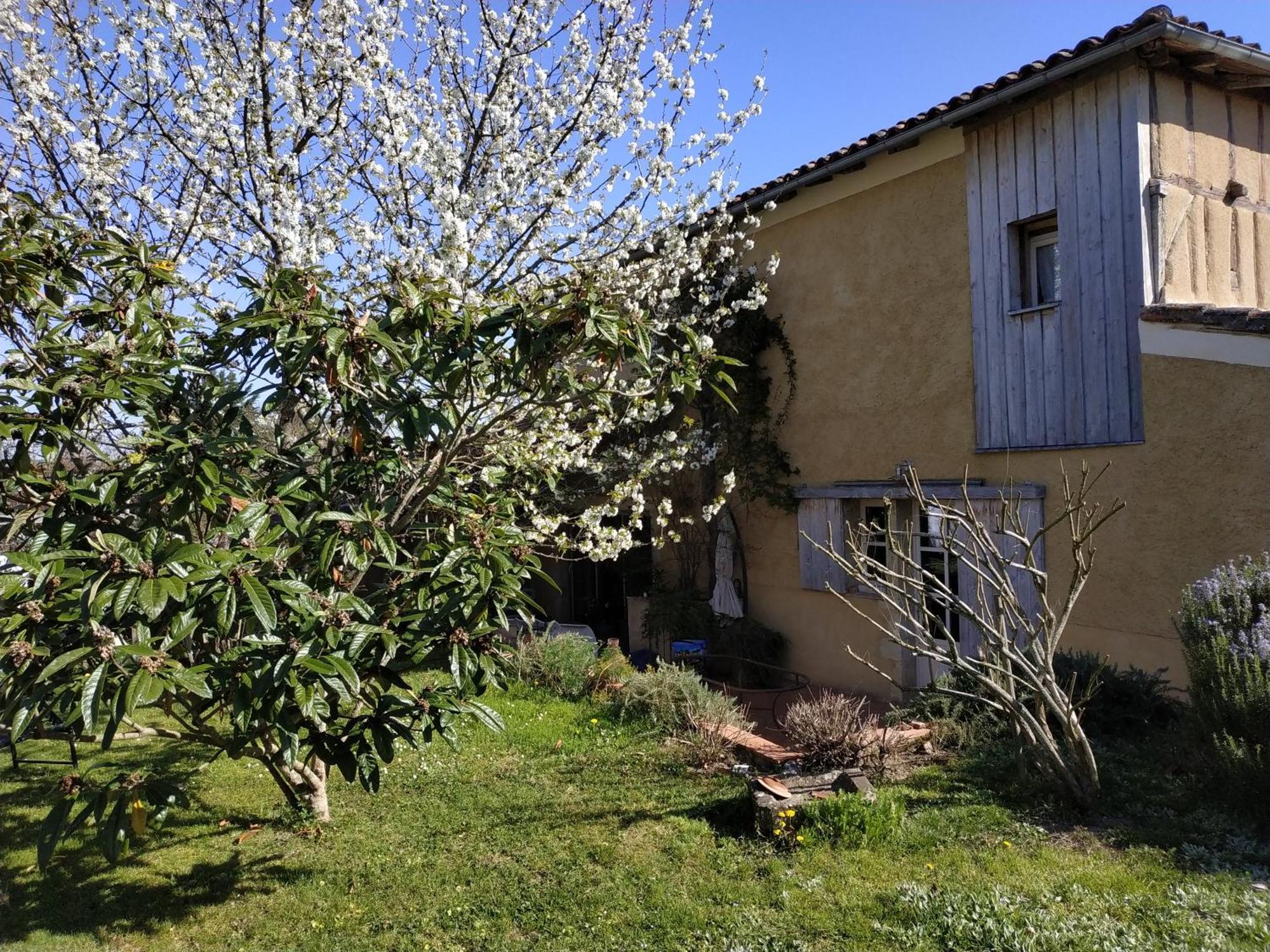 "Au Campaner" Chambres Dans Maison Gasconne Barran Exteriér fotografie